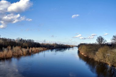 Yaz boyunca Poznan 'daki Warta Nehri boyunca ağaçlar ve çayırlar, Polonya