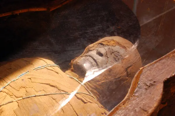 Mummified Body Sarcophagus Museum — Stock Photo, Image
