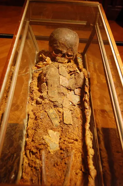 Remains Mummified Body Skeleton — Stock Photo, Image