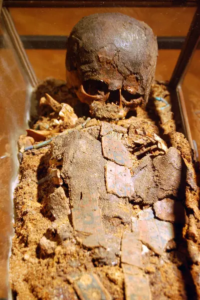 Remains Mummified Body Skeleton — Stock Photo, Image