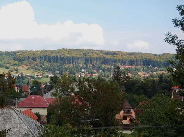 Pohled Vesnici Letní Krajina — Stock fotografie