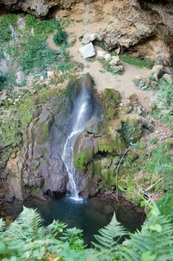 Bir ormandaki güzel şelale.