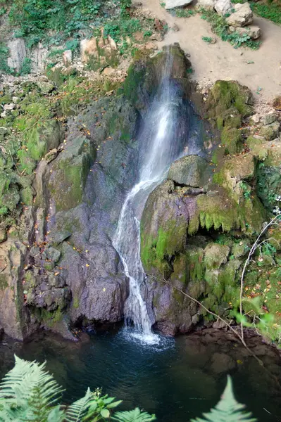 瀑布落在美丽的绿色森林里 图库图片