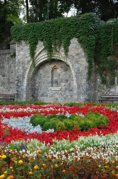 庭の花壇 ストック画像