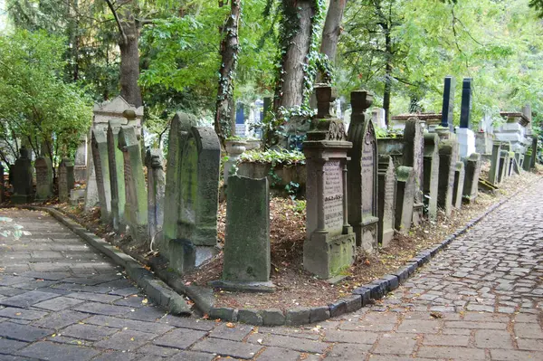 Старое Каменное Кладбище Мишкольца Венгрия Лицензионные Стоковые Изображения
