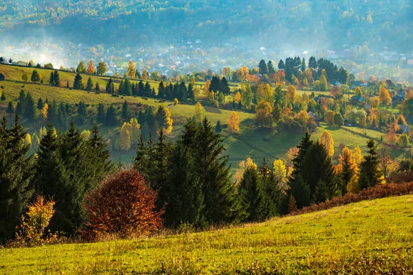 Sielankowe Słoneczne Wzgórza Łąki Jesienią Pocztówka Ukrainy — Zdjęcie stockowe