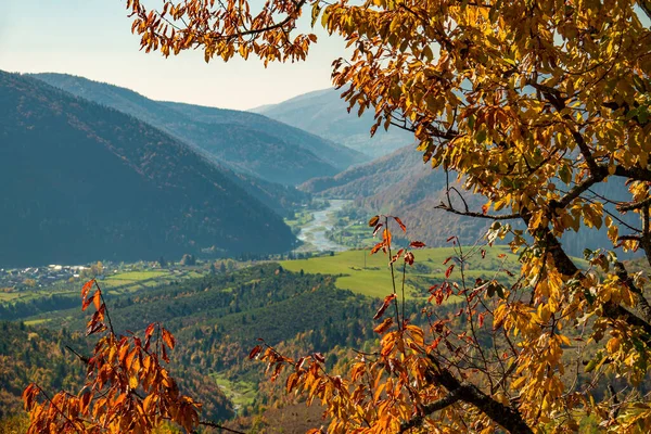 Słoneczna Dolina Jesienny Krajobraz Skup Się Drzewach — Zdjęcie stockowe