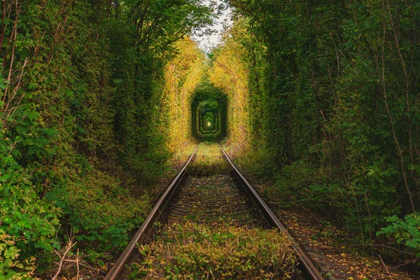 Romantyczny Tunel Kolejowy Drzewach Tunel Kolejowy Ukrainie Znany Cel Sesji — Zdjęcie stockowe