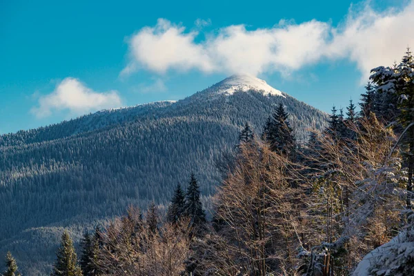 Snowy mountain peak covered with clouds. Wild nature of Carpathian mountains