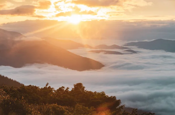 Ocean of clouds. Beautiful sunrise high in the mountains. Sun rises ove the ocean of clouds in the valley