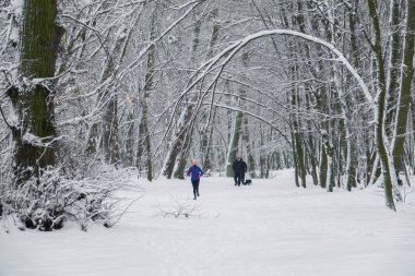 2022-11-19, Kyiv, Ukrayna. Mevsimin ilk kar yağışından sonra Kyiv 'deki kış parkındaki insanlar
