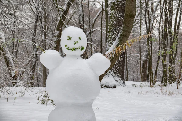 Funny Snowman Winter Park Symbol Winter Season — Stock Photo, Image