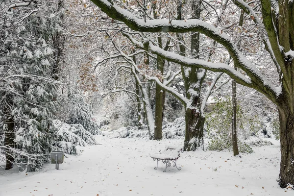 Snow Covered Bench Tranquil Winter Park Winter Weather Forecast — Stock Photo, Image