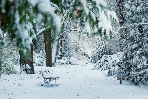 Tranquil Winter Park Snow Covered Bench Cold Tone Selective Focus — Stock Photo, Image