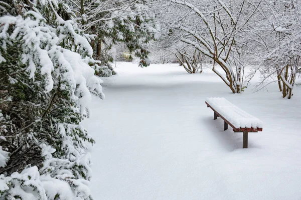 Stadtpark Nach Schneefall Verschneiter Winterpark Mit Einem Teppich Aus Weißem — Stockfoto