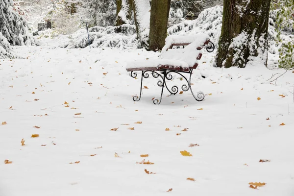 Park Bench Covered Snow Tranquil City Park Fallen Yellow Leaves — Stock Photo, Image