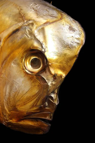 Gruseliges Alien Gesicht Porträt Eines Fischkopfes Der Realität — Stockfoto