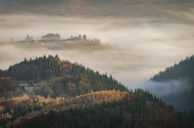 Dağlar, tepeler ve vadiler sabah sisiyle dolu. Manzaralı dağ manzarası