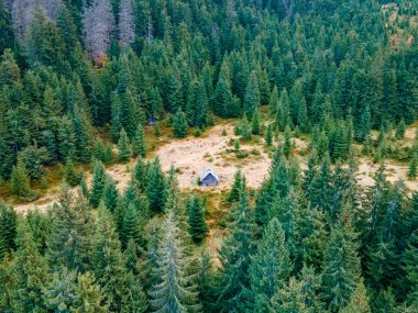 Tiny cabin in the woods. Aerial photo.