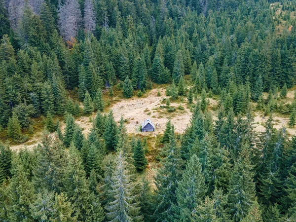 Tiny cabin in the woods. Aerial photo.