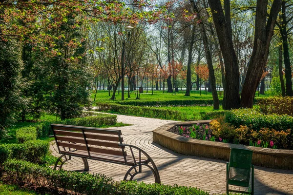 漂亮的早上公园 有长椅 城市公园春叶生机勃勃 百花齐放 — 图库照片