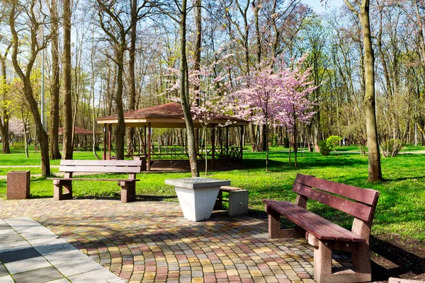 Bänke Und Pavillons Zum Ausruhen Einem Schönen Sonnigen Frühlingspark — Stockfoto