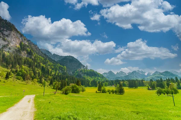 ドイツのバイエルン州の風景 背景に有名なノイシュヴァンシュタイン城と緑の牧草地 — ストック写真