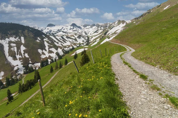 在瑞士阿尔卑斯山的绿色牧场之间蜿蜒曲折的美丽道路 宁静的山景 — 图库照片