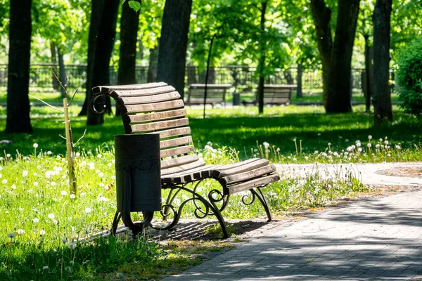 Bench in a city park, a shady rest place during a hot summer day