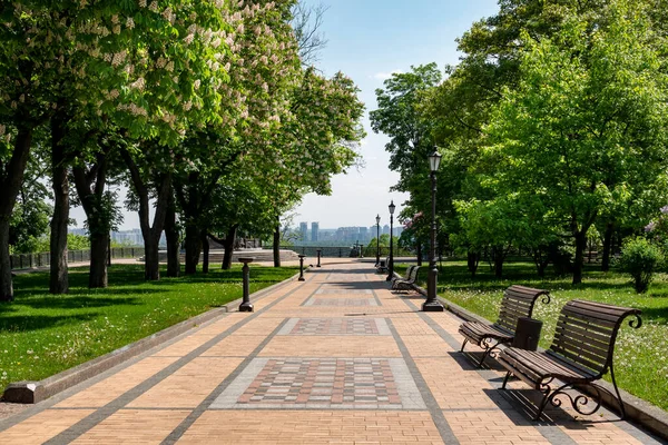 Hermoso Paisaje Ciudad Kiev Con Castañas Florecientes Jardín Cerca Saint — Foto de Stock