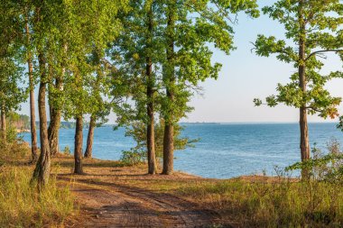 Deniz kıyısının yakınındaki ormanda dolambaçlı bir yol. Sahildeki toprak yol ve ağaçlar
