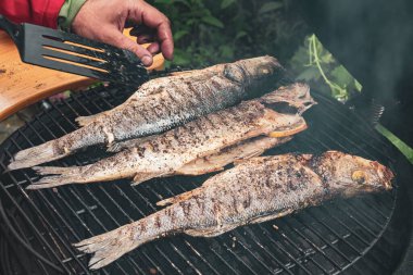 Izgarada nefis ızgara balık. Yaz barbekü partisi