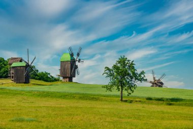 Rüzgâr değirmenleri ve buğday tarlalarıyla Idyllic kırsal manzarası