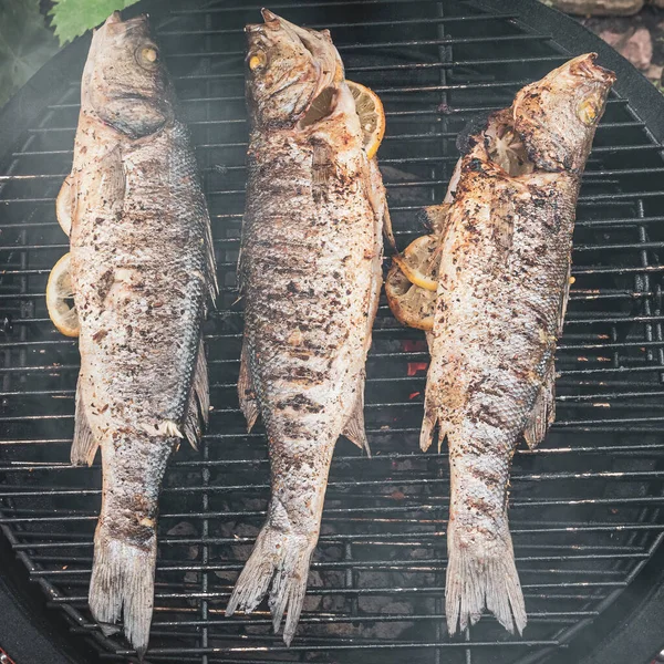 Peixe Grelhado Com Churrasco Refeição Saborosa Piquenique Verão — Fotografia de Stock