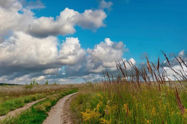Piękna Wiejska Droga Gruntowa Polu Dziką Trawą Niebieskim Niebem Chmurami — Zdjęcie stockowe