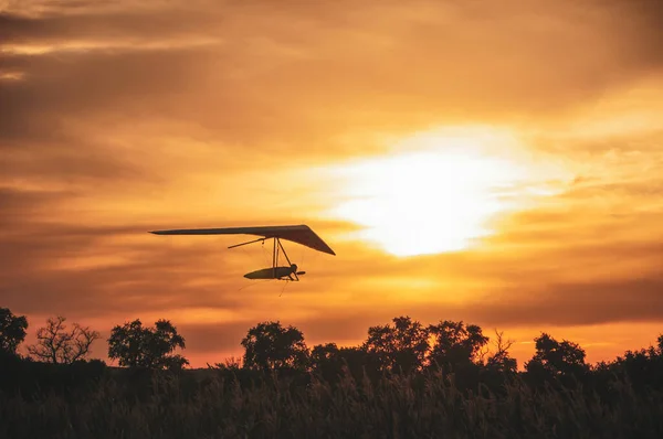 Gün Batımında Hangglider Silueti Askılı Planör Ağaçların Üzerinde Alçaktan Uçar — Stok fotoğraf