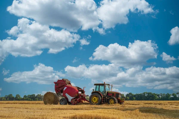 Červený Traktor Vyrábí Balíky Sena Během Řezání Pšeničném Poli Modrou — Stock fotografie