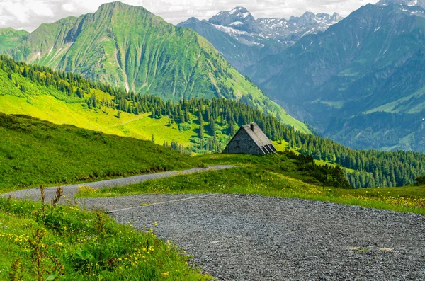 美丽的弯弯曲曲的道路穿过奥地利迪丹斯科普夫的绿色高山草甸和真正的山间小屋 欧洲阿尔卑斯山的景观特征 — 图库照片