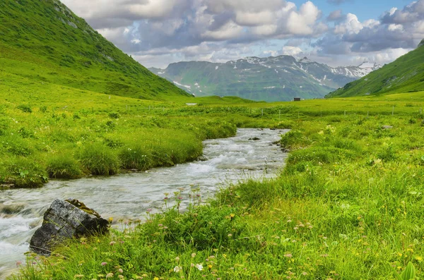 Zielona Alpejska Łąka Strumieniem Wody Wysokimi Szczytami Górskimi Tle — Zdjęcie stockowe