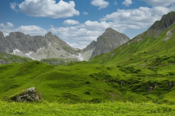 Österrikiska Alperna Grön Äng Med Färskt Gräs Skarpa Bergstoppar Och — Stockfoto