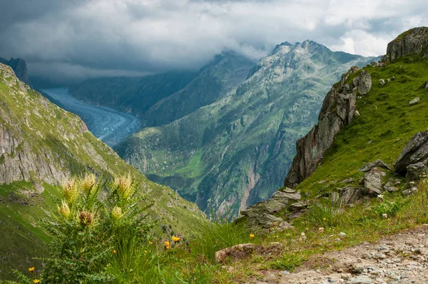 Malowniczy Widok Góry Alpach Szwajcarskich Ostre Skały Wysokie Szczyty Górskie — Zdjęcie stockowe