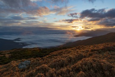 Dağlarda harika bir sabah. Güneşin ilk ışıkları tepelerdeki yaban otlarını ve sisli vadileri aydınlatıyor. Manzaralı açık hava manzarası