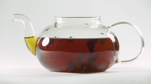 Brewing Tea Glass Teapot — Stock Video