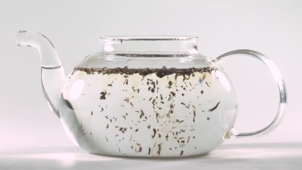 Making Tea Transparent Glass Teapot — Stock Video