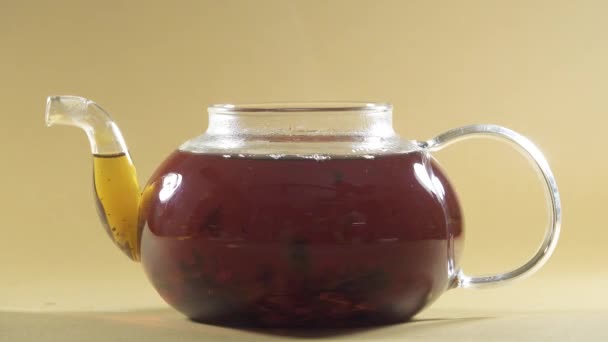 Čaj Částice Vařící Skleněné Konvice — Stock video