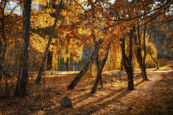 Magic fall colors in the park. Burning yellow, red and orange autumn trees. Vibrant autumn landscape