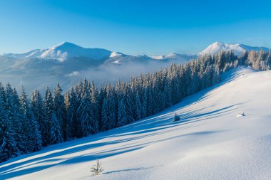 Manzaralı kış sıradağları. Karpat Dağları 'ndaki açık hava manzarası