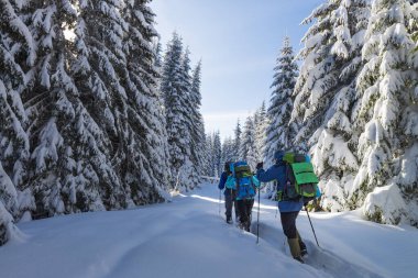 Bir grup yürüyüşçü kışın dağ yolunda macera peşinde. Kış sporları ve keşifleri