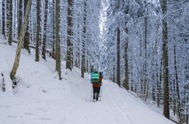 Dağlardaki kış patikalarında sırt çantalı bir grup yürüyüşçü. Aktif yaşam tarzı ve keşif. Kış sporları