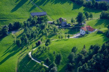 Slovenya 'nın Soca Vadisi' ndeki yeşil otlaklar ve dolambaçlı yollar